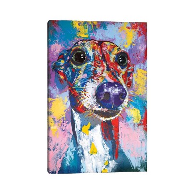 iCanvas Italian Grayhound III by Tadaomi Kawasaki Canvas Print Wall Art