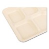 Boardwalk Bagasse PFAS-Free Food Tray, 5-Compartment, 8.26 x 0.98 x 10.9, Tan, Bamboo/Sugarcane, 500/Carton - 4 of 4
