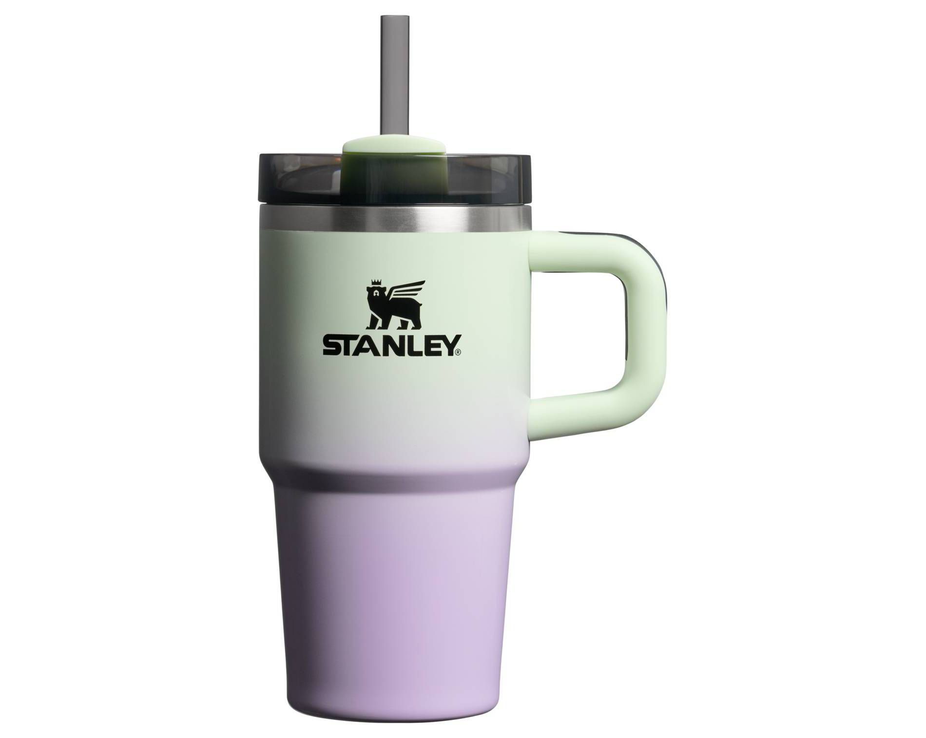 Stanley Halloween 20 oz Stainless Steel H2.0 Flowstate Quencher Tumbler Hypnotic Green