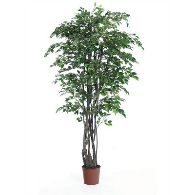 artificial ficus tree