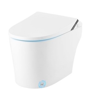 Smart Toilet - One Piece Bidet Tankless Toilets with Warm Water Sprayer and Dryer, Built-In Bidet Heated Seat, Foot Sensor Operation - 1 of 4