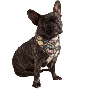 Mechaly Cotton Funny Dog Bandana with Designs Durable Birthday Pet Scarf - 1 of 4
