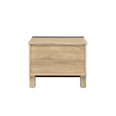 Erasto Oak and Black Wood Metal Accent Table with Storage