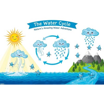 Trends International Classroom - The Water Cycle 2026 Framed Wall ...
