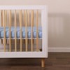 Babyletto Dewdrop Muslin Mini Crib Sheet, GOTS Certified Organic Cotton - 4 of 4