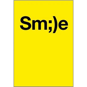 The Smile Book - (Sm;)E Book) by  DB Burkeman & Rich Browd (Hardcover) - 1 of 1