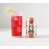 Salt Point Cape Cod Canned Cocktail - 4pk/355ml Cans - 3 of 4