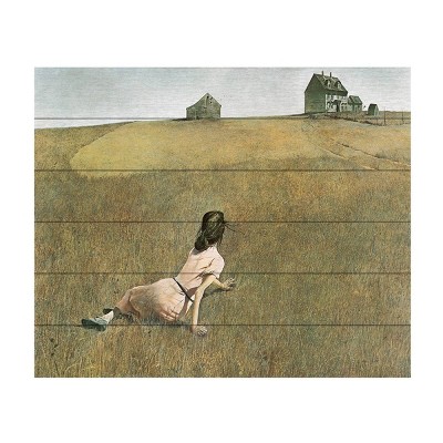 Andrew Wyeth Christina's World 18"x22" Natural Hardwood Landscape Art