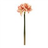 Amaryllis Flower Stem (Set of 6) - 2 of 2