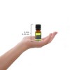 Plantlife Awake Essential Oil Blend – 100% Pure, Therapeutic Grade – No Additives or Fillers – Made in California – 10ml - 3 of 4