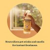 Mrs. Meyer's Clean Day Orange Blossom Pet Odor Neutralizer - 12 fl oz - 4 of 4