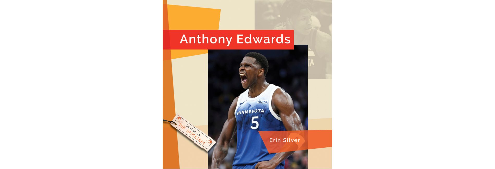Anthony Edwards - (Living in the Spotlight) by  Erin Silver (Paperback)