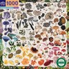 eeBoo: Piece & Love Mushroom Rainbow 1000 Piece Puzzle - 4 of 4