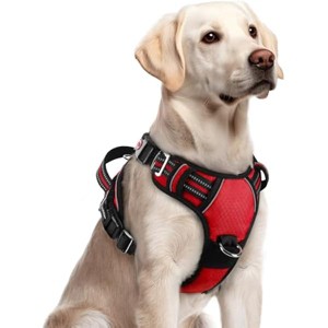 rabbitgoo Dog Harness for Large Dogs, No Pull Pet Vest with 3 Buckles, Pet Harness with Easy Control Handle and Reflective Strips, Red, L - 1 of 1