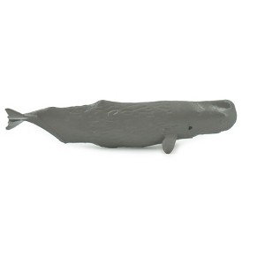 Collectible Wildlife Gifts | Whale, Sperm whale, High Quality, Hand Painted, Rubber, Pelagic Marine Mammal, Realistic, Toy, Gift,  3 1/2 " CH643 BB168 - 1 of 4
