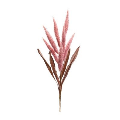 Melrose Foxtail Plume Stem (Set of 2)