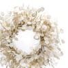 Silver Dollar Eucalyptus Wreath 33"D - 3 of 3