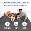 Soft Quilted Comforter with Corner Tabs & Pillow Shams - Comfy, Cozy & Breathable - Premium Down Duvet Insert - CGK Linens - 3 of 4