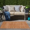 Nourison Essentials Easy Care Indoor Outdoor Area Rug - 2 of 4