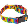 Country Brook Petz 1 1/2 Inch Rainbow Hearts Martingale w/Deluxe Buckle Dog Collar - image 4 of 4