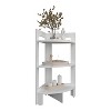 NicBex 3-Layer Open Shelf Corner Shelf Suitable for Study, Bedroom, Kitchen, Dining Room - 3 of 4