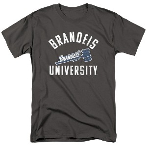 Men's Brandeis University Official Distressed Primary T-Shirt - 1 of 4