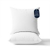 Delara Throw Pillow Inserts Set of 2, Organic Cotton Shell, 7D Recycled Down Alternative Fill - 2 of 4