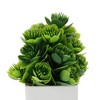 Unique Bargains Artificial Plants Fuzzy Bloom Plant Plastic Green 6.3"x6.3"x6.3" 1 Pc - 4 of 4
