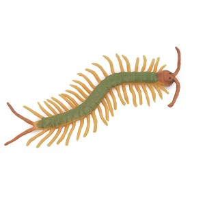 Collectible Wildlife Gifts | Centipede, Green, Arthropods, Museum Quality, Hand Painted, Rubber Chilopoda, Model,  Toy, Gift,  3"   CH518 BB158 - 1 of 4