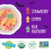 YumEarth Halloween Sour Littles Laydown Bag Candy - 10oz/20ct - 4 of 4