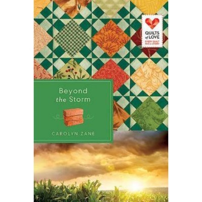 Beyond the Storm - by  Carolyn Zane (Paperback)