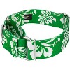 Country Brook Petz 1 1/2 Inch Martingale Dog Collar - Summer Breeze Collection - 4 of 4