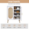 Karl Home Rattan 26.77 in.W 2-Door 4-Layer Shoe Cabinet - 4 of 4