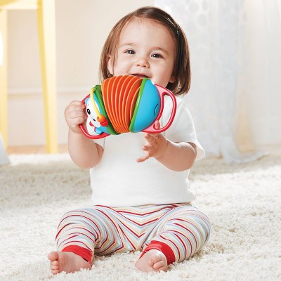 baby accordion toy