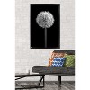 Trends International Tom Quartermaine - Black and White Dandelion Framed Wall Poster Prints - 2 of 4