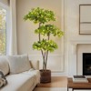 5-6FT Artificial Black Olive Tree - Realistic Faux Plant in Nursery Pot for Home, Office & Living Room Decor - 4 of 4