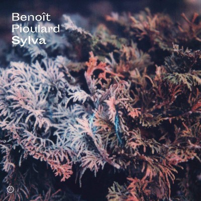 Benoit Pioulard - Sylva (Vinyl)