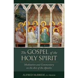 The Gospel of the Holy Spirit - by  Alfred McBride (Paperback) - 1 of 1