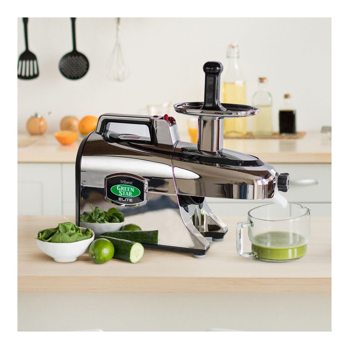 Tribest Greenstar Elite Jumbo Twin Gear Slow Masticating Juicer - thumbnail 8