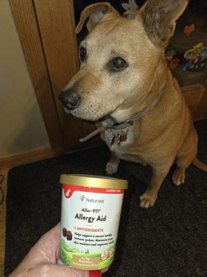 Guest review image 1 of 2, zoom in