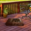 Pet Adobe Orthopedic Memory Foam Pet Bed Mattress – 30" x 21" x 3.5", Brown - 2 of 4