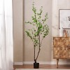 COWLOWN 70.9-in Artificial Tree, Realistic Faux Leaf Potted Plant for Home/Office Decor - 2 of 4