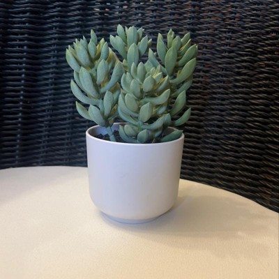 Artificial Succulent Filler Light Green - Threshold™