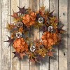 24" Artificial Autumn Wreath with Hydrangeas, Maple Leaves, Pinecones and Berries - National Tree Company - image 2 of 4