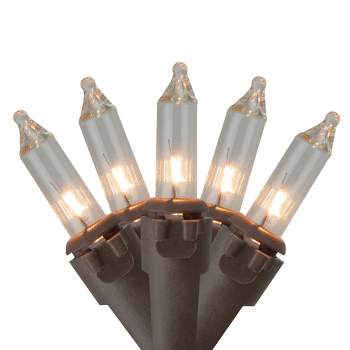 Northlight 100ct Mini Christmas Lights Clear - 20.25' Brown Wire
