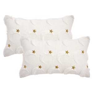 REGALWOVEN Star Embroidered Cute Cartoon Moon Pattern Cushion Covers 2 Pcs - 1 of 4