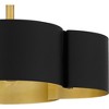 Quoizel Lighting Balsam 4 - Light Semi-Flush Mount in  Matte Black - 3 of 4