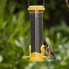 Jacobi Jayne Yellow Flo Nyjer Tube Bird Feeder - 255 mm - 2 of 3