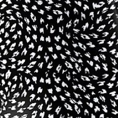 black white abstract