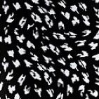 black white abstract